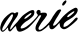 Aerie logo